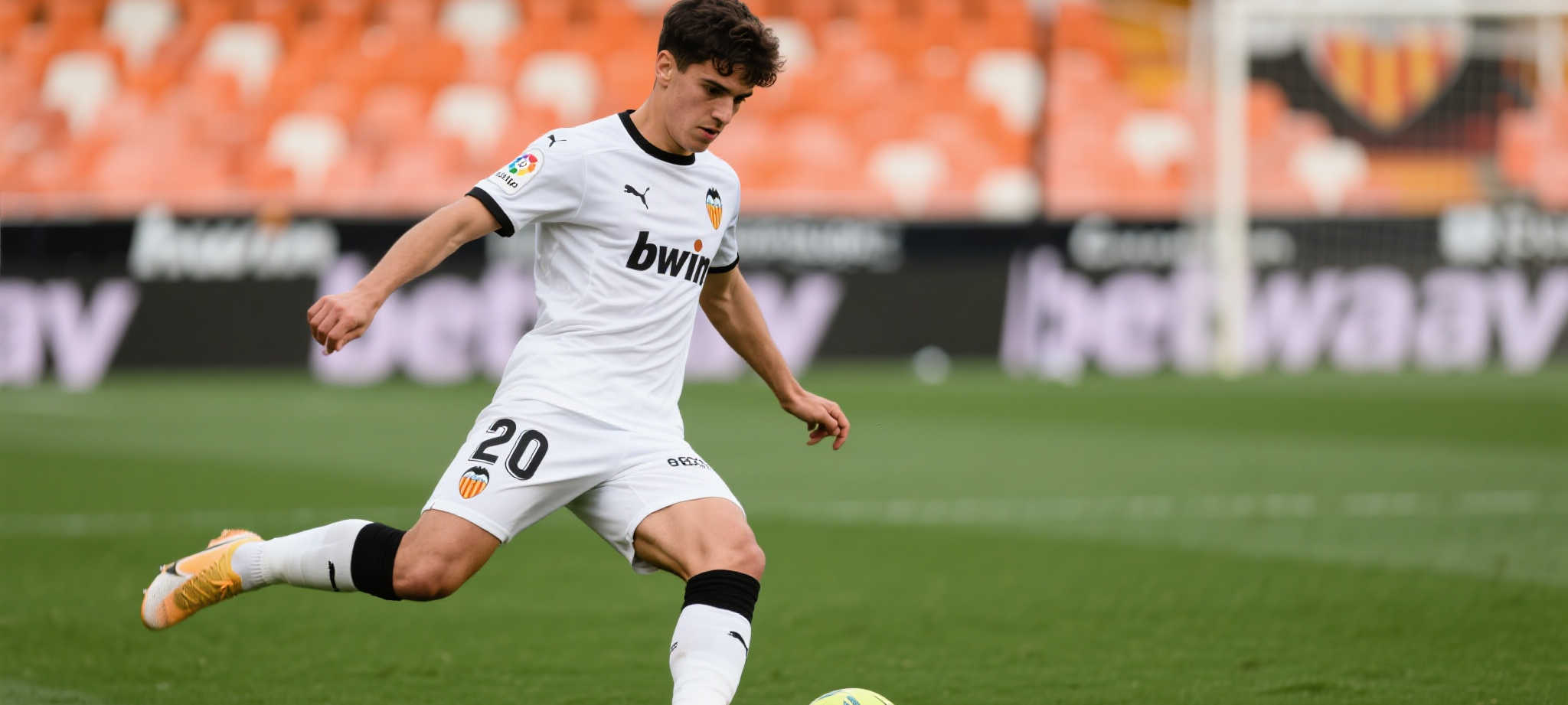 九游娱乐VIP注册中心